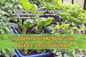 Untuk menanam cabai rawit, anda perlu ukuran pot minimum 5 liter. 10 Langkah Untuk Mula Berkebun Pasu Di Rumah Kebun Bandar