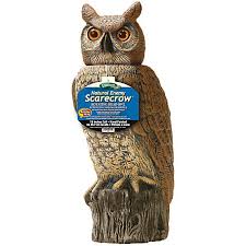 Hawks are definitely used for pest control, in various ways, mostly for birds. Dalen Rotating Head Owl Natural Enemy Scarecrow Rho 4 At Tractor Supply Co