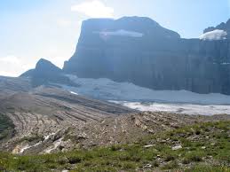 Image result for Struthiola montana