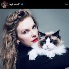 Aimee Dougherty's Instagram, Twitter & Facebook