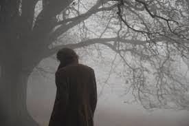 Thestorycanresume Wuthering Heights Aesthetic Keaton Henson