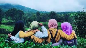 Bagi kamu yang menyukai suasana di kebun teh, berikut beberapa kebun teh terindah di indonesia yang bisa memanjakan mata. Destinasi Agrowisata Gunung Mas Dan Taman Buah Mekarsari Segera Buka Kembali