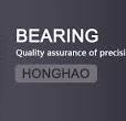 Shantou ESG Bearing Manufacture Company Limited