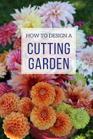 Pin On Garden Tips