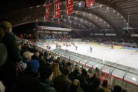Darunter auch die tillburg trappers. Ehemaliger Indians Geschaftsfuhrer Wolfram Cech Stellt Selbstanzeige Eishockey News