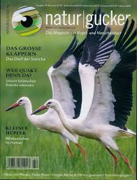 Naturgucker 42 2019 Das Grosse Klappern Wildkaninchen Tiere Saugetiere
