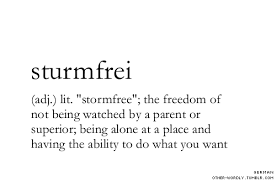 Pronunciation Shturm Fri Shtoorm Fry With Thanks To Buetterfliege And Falbet For Pronunciation Help Submitted Words To Use Cool Words Word Definitions