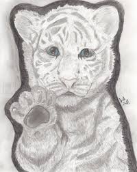 Learn to draw a white tiger. How To Draw A White Bengal Tiger Cub Step By Step Drawing Guide By Kanashimi No Hoshi Dragoart Com