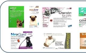 Downloading, republication, retransmission or reproduction of content on this website is strictly prohibited. Low Cost Pet Meds By Humane Society Of Manatee County Veterinary Clinic In Bradenton Fl Alignable