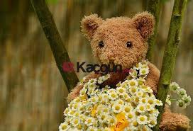 2020 Anneler Gunu Kac Gun Kaldi Anneler Gunu Ne Zaman Teddy Bear Ayicik Anneler Gunu