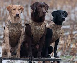 Pin On Hunting Life