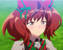 Check spelling or type a new query. Uma Musume Fans Pull Through Raise Us 329 000 For Retired Horse Interest Anime News Network