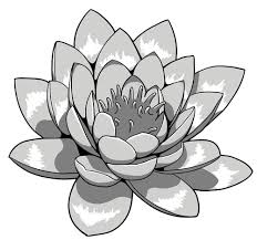 Clipart Photo Lotus Tattoos Lotus Drawing Flower Tattoos Lotus Flower Tattoo