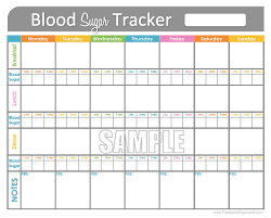 70 actual printable glucose log