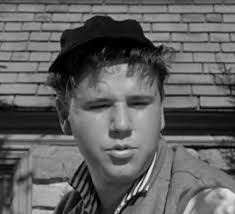 Leave It to Beaver" Lumpy Rutherford (TV Episode 1958)