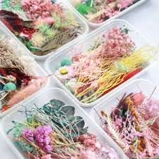 They are very aromatic, and they maintain full aroma when in dry. Bulk Mixed Natural Dried Flowers Plants Handmade Material Supplies Decor Random Ebay