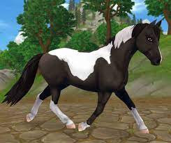 Alle pferde in eine box challenge in star stable online. Welches Sso Pferd Bin Ich Testedich