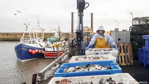 With noaa fisheries jurisdiction covering bluefish from maine to florida. Uk Fisheries Unhappy With Eu Trade Deal Business Economy And Finance News From A German Perspective Dw 31 12 2020