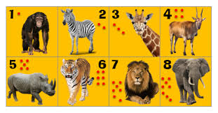 Amiscol Jeux La Jungle Et La Savane Plusieurs animaux y arrivent en creusant des trous dans le sol, appelés terriers, où ils peuvent se reposer pendant la chaleur de la journée, ou assurer un abri. amiscol jeux la jungle et la