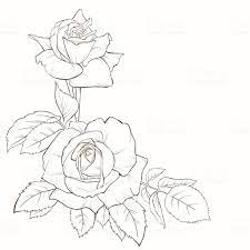Rose Bouquet Vintage Card Flower Drawing Roses Drawing How To Draw Hands
