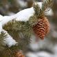 Little Hands Nature Club: Winter Exploration Hike