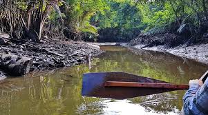 Artikel ini membahas sejumlah kapal terbesar di dunia yang berbentuk kapal pesiar. Blog Page 53 Of 73 Sarawak Kita