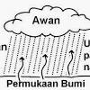 Fungsi sistem urinaria dan penyakit sistem urinaria. Https Encrypted Tbn0 Gstatic Com Images Q Tbn And9gcrfix7mx6hbmxgs07tplg4hzto6ltisxqcqicmd6xt1erpt84em Usqp Cau