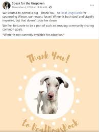 We did not find results for: December 2020 Rocker Puppy Rescue Sponsorships Deaf Dogs Rock
