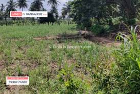 The latest ones are on mar 16, 2021 8 new land for sale agriculture results have been found in the last 90 days, which means that every 12, a new land for. Agricultural Land For Sale In Bangalore Farm Land For Sale In Bangalore Farm House For Sale In Bangalore