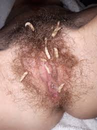 Deep Forest Maggots - Breeding Ever More Maggots - rInsex