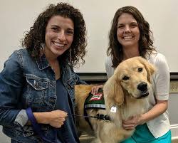 Hence he crossed one of his yellow retriever with an extinct breed namely tweed water spaniel. One Of The Newest Employees At Huntsville Hospital For Women Children Is This Golden Retriever Al Com