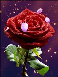 sign in beautiful gif beautiful flowers beautiful roses