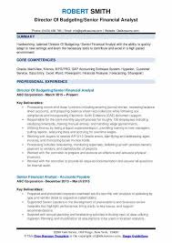 The following pointers explain the business analyst techniques gumption a candidate ought to have to justify this role: Senior Financial Analyst Resume Samples Qwikresume