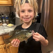 ᐅ Vermont Lake fishing reports🎣• Alexandria, MN (United States) fishing