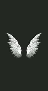 We have a great selection of black wallpapers and black background images for mac os computers, macbooks and windows computers. 4k Black Wallpaper Otaku Wallpaper