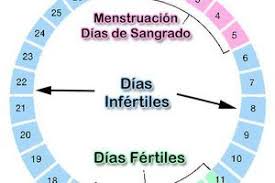 Cuanto Tiempo Despues De Tu Periodo Menstrual Puedes Quedar Embarazada Quedar Embarazada Puedo Quedar Embarazada Menstruacion Y Embarazo