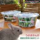 「クズ苗通販　ウサギの餌　虫の餌」の画像検索結果