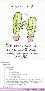 You may fall from the sky, you may fall from the tree, but the best way to fall… is to fall in love with me. Cactus Puns