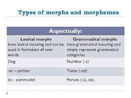 Check spelling or type a new query. Morphology As A Part Of Grammar Lecture 2