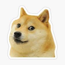 Find the best doge meme wallpaper on getwallpapers. Doge Meme Gifts Merchandise Redbubble