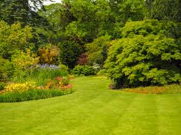 Harlow Carr Gardens Harrogate Self Arranged Journeys In 2020 Castles In England Yorkshire Day Harrogate