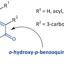 Image result for Equilabium petiolare