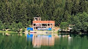 Artvin şavşat ilçesinde hangi aday önde? Eyvah Savsat Karagol U Kaybediyoruz Son Dakika Haberleri