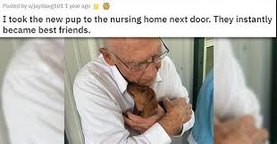 Sprinkle Some Love Animal Edition 18 Images In 2020 Baby Owls Adventure Cat Animals