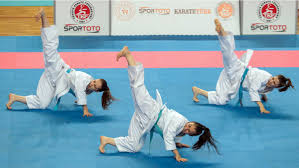 Is one of the largest karate clubs in berlin. Wkf News