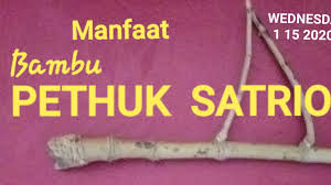 Check spelling or type a new query. Bambu Pethuk Satrio Youtube