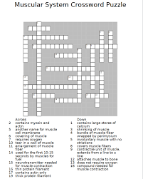 Skeletal and muscular system crossword puzzle answer key. Muscular System Crossword Puzzle 5 Across 2 Contains Chegg Com