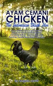 Ayam Cemani Chicken The Indonesian Black Hen A Complete Owner S Guide To This Rare Pure Black Chicken Breed Covering History Buying Housing Feeding Heal Black Chickens Chicken Breeds Rare Chicken Breeds