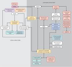 Image result for Neonatal Sepsis