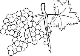 Ayo gambar buah buahan stroberi nenas dan anggur belajar. 19 Gambar Sketsa Buah Terlengkap Beserta Manfaatnya